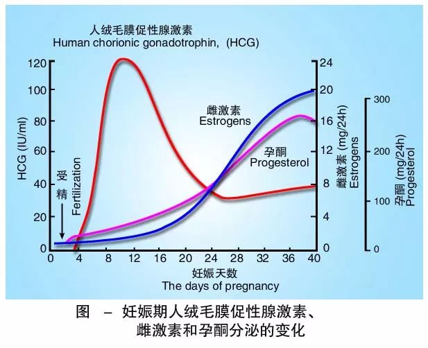 懷孕期間HCG低怎么辦？